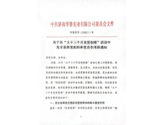 圍繞中心大局，亮出黨員本色，努力攻堅(jiān)創(chuàng)效